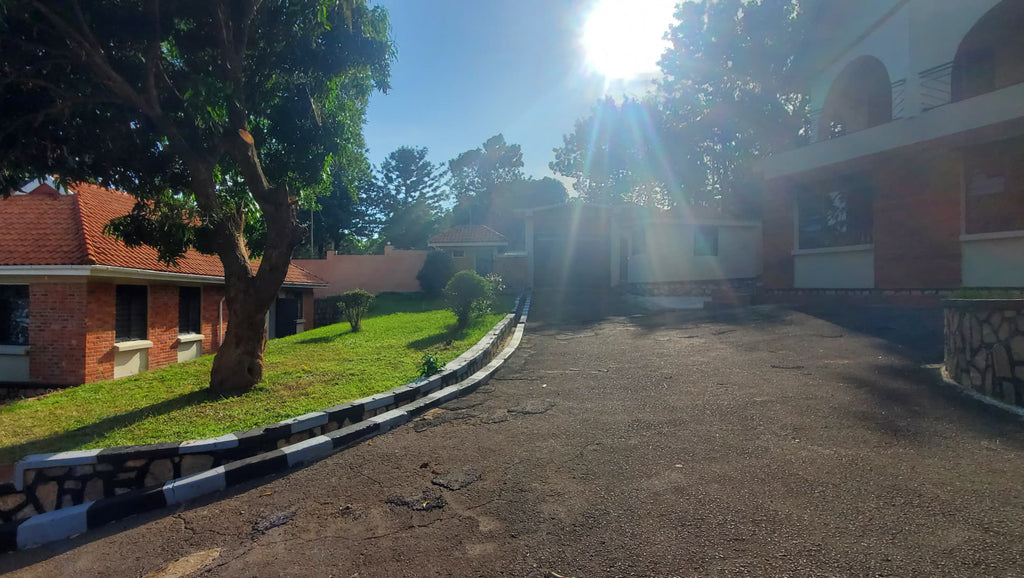 Ngaali Nest