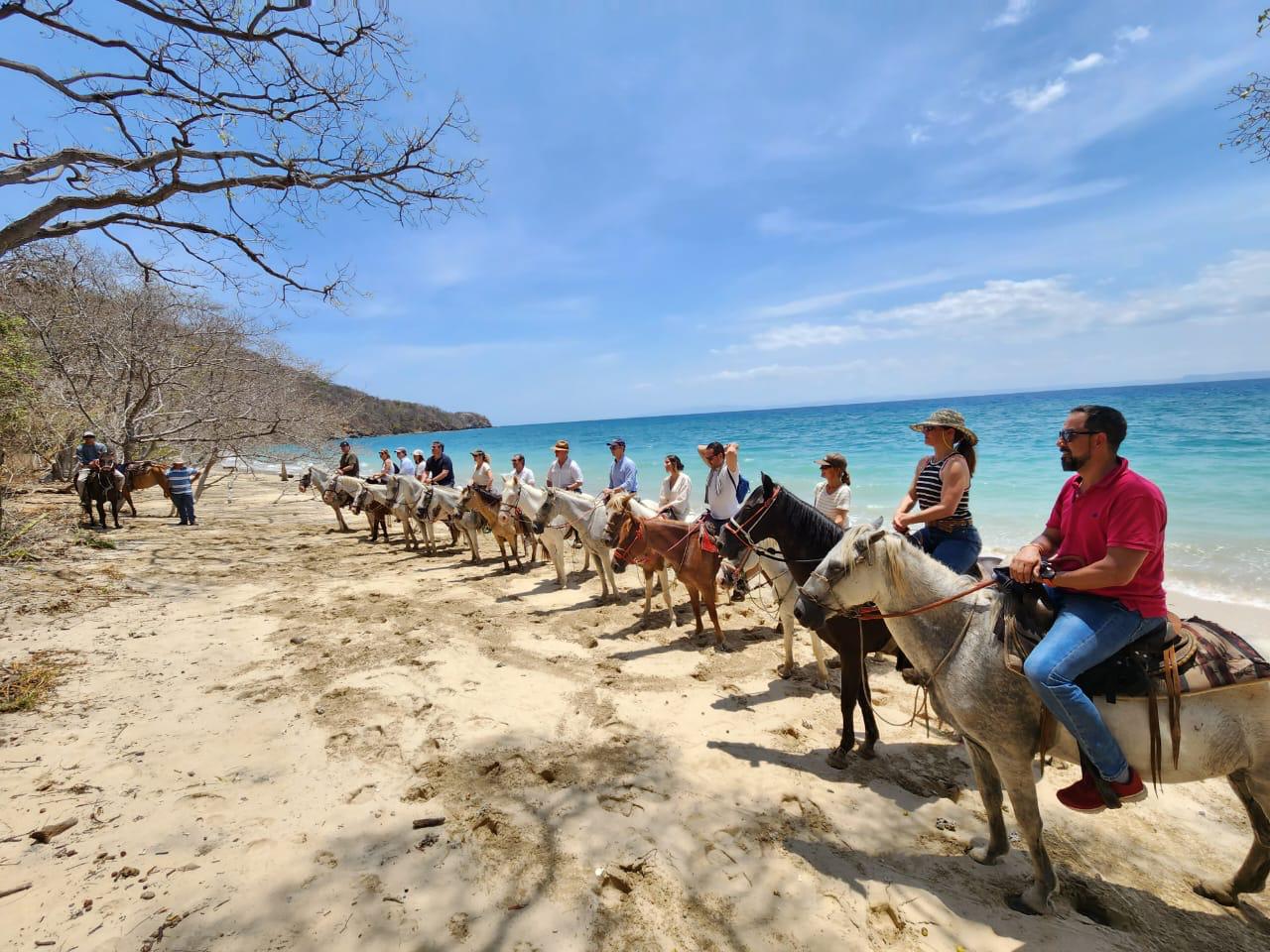 Horse Backriding at the Beach