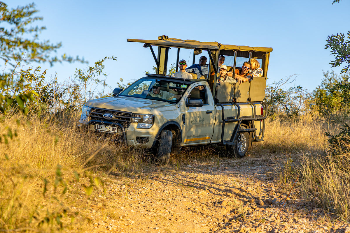 Dawn to Dusk: Full-Day Safari