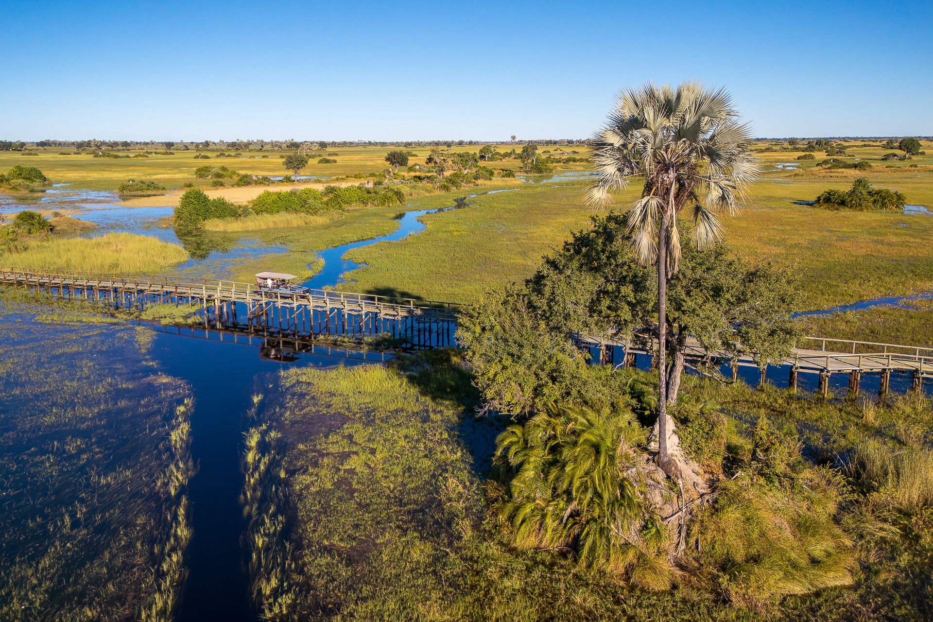 Jao Camp Entrance Bridge