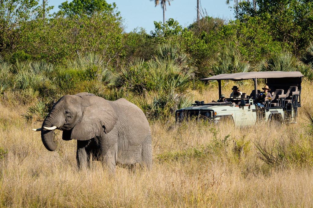 Jao Camp – Game Drives