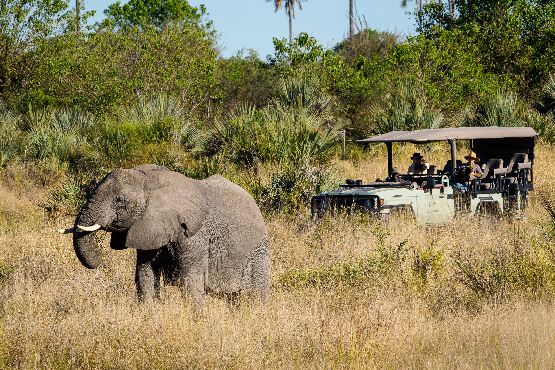 Jao Camp – Game Drives
