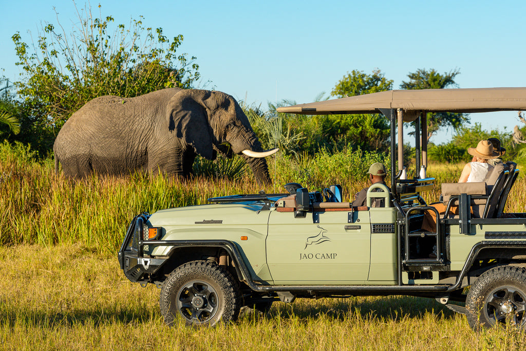 Jao Camp – Game Drives