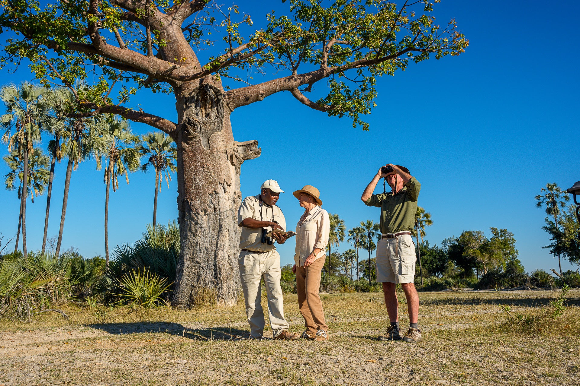 Jao Camp – Guided Nature Walks