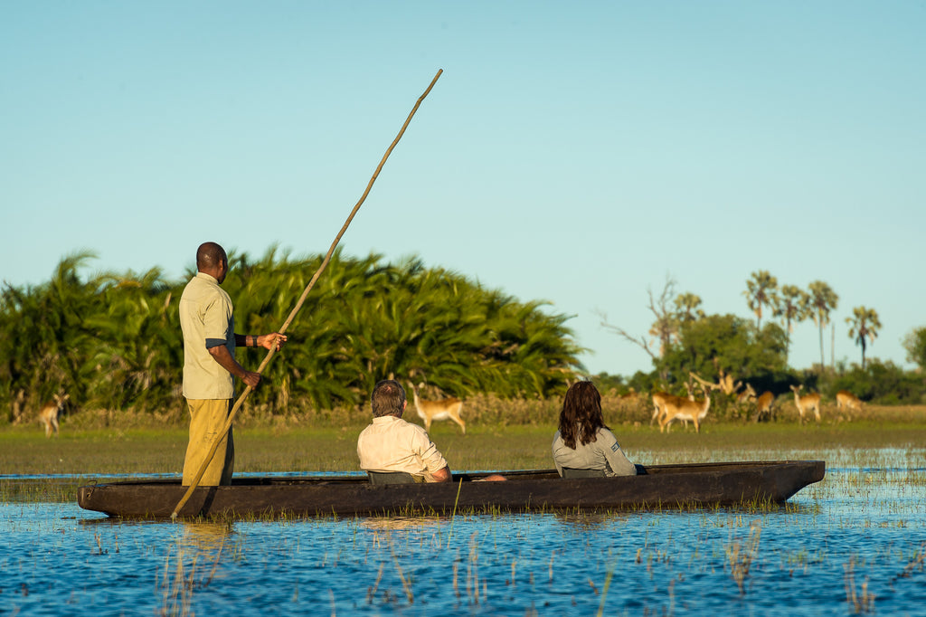 Jao Camp – Mokoro Excursions