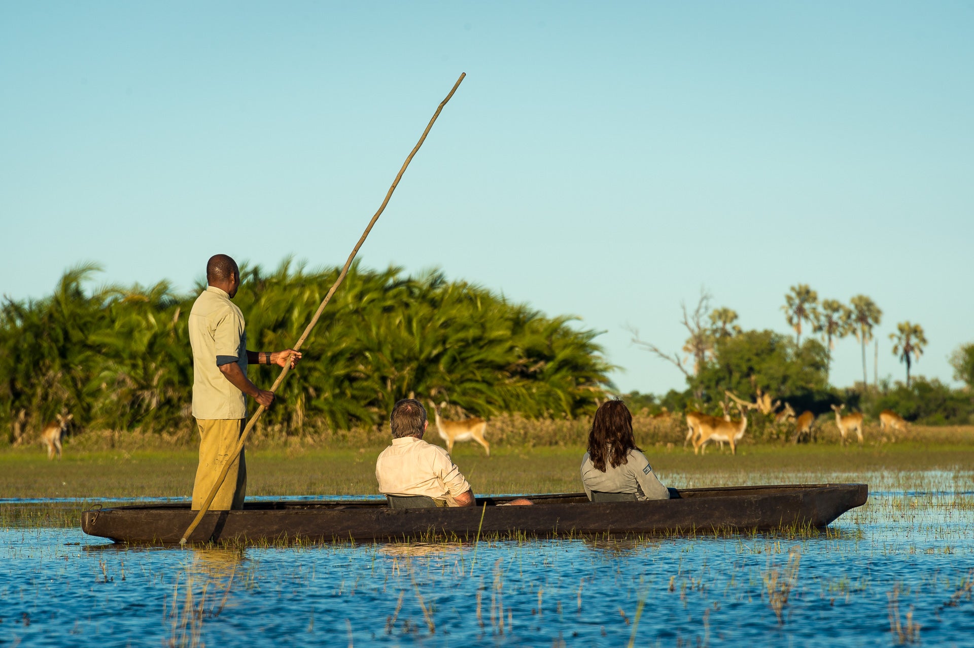 Jao Camp – Mokoro Excursions