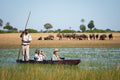 Jao Camp – Mokoro Excursions