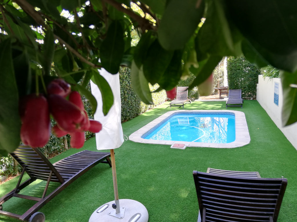 Auberge Daniella
