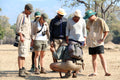 Activity - Walking