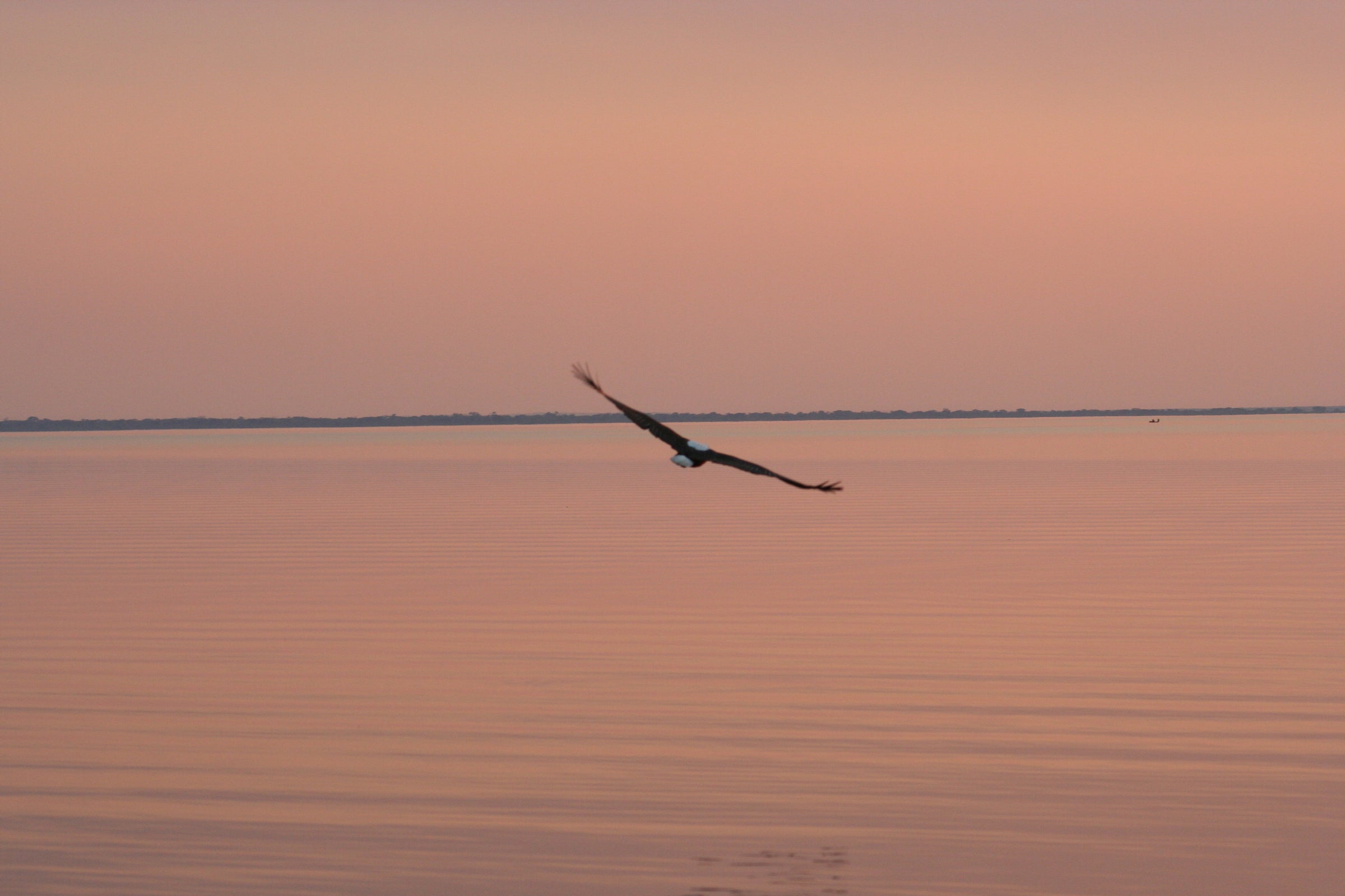 Immenhof Air Safaris