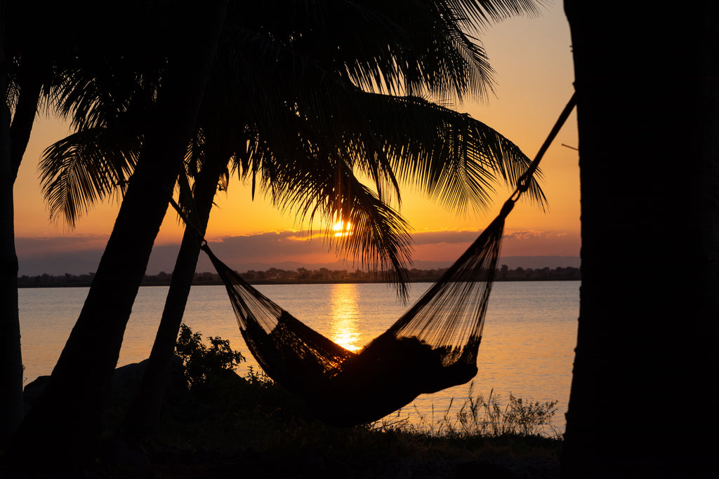 Hammock Sunset