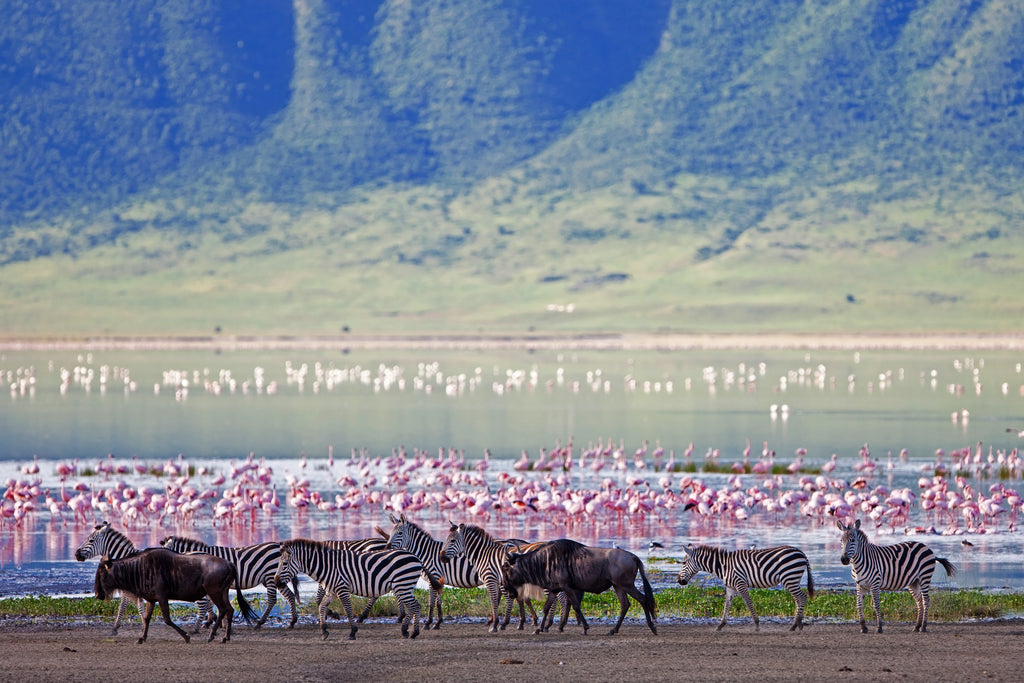 Ngorongoro Crater Camp, an A&K Sanctuary