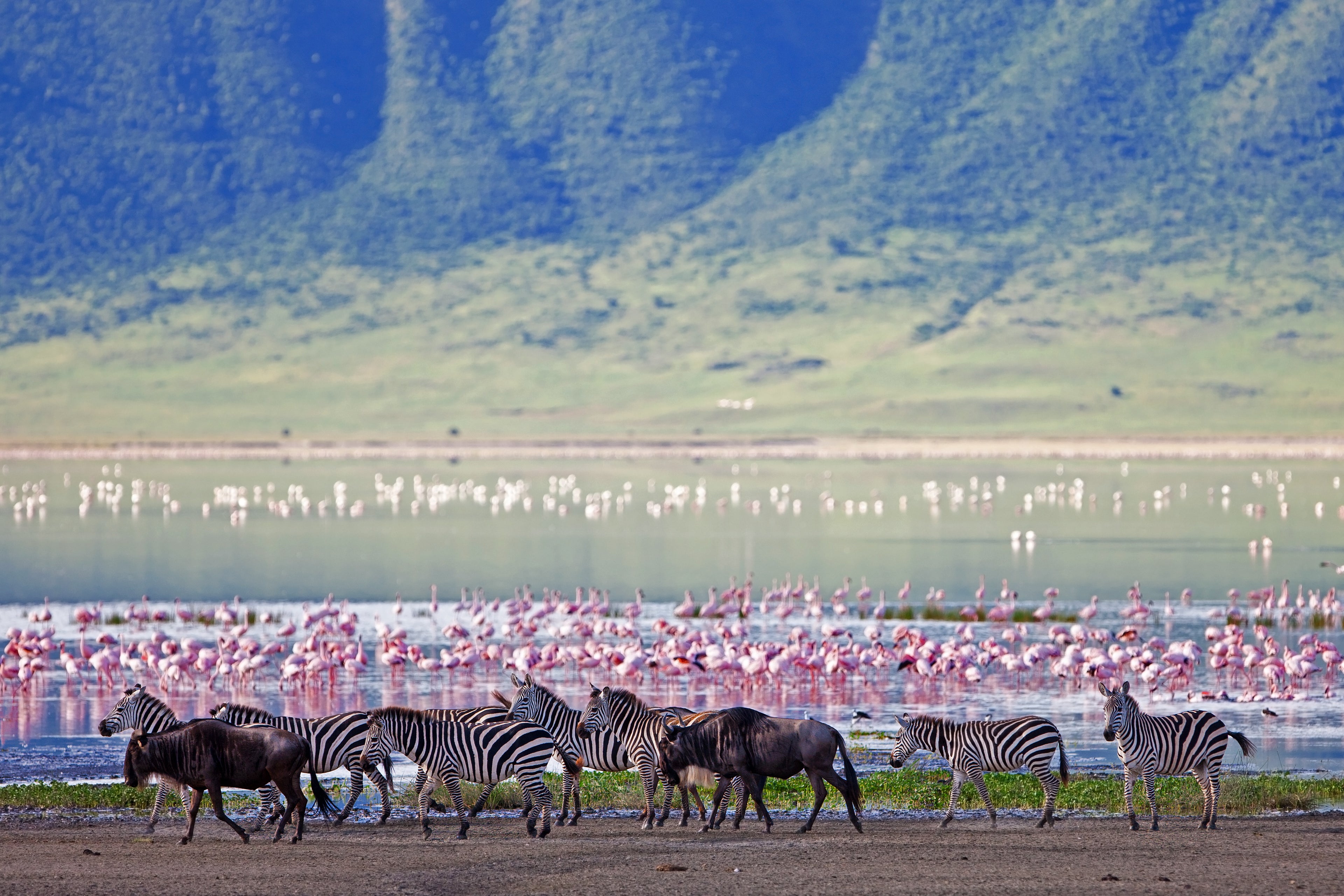 Ngorongoro Crater Camp, an A&K Sanctuary