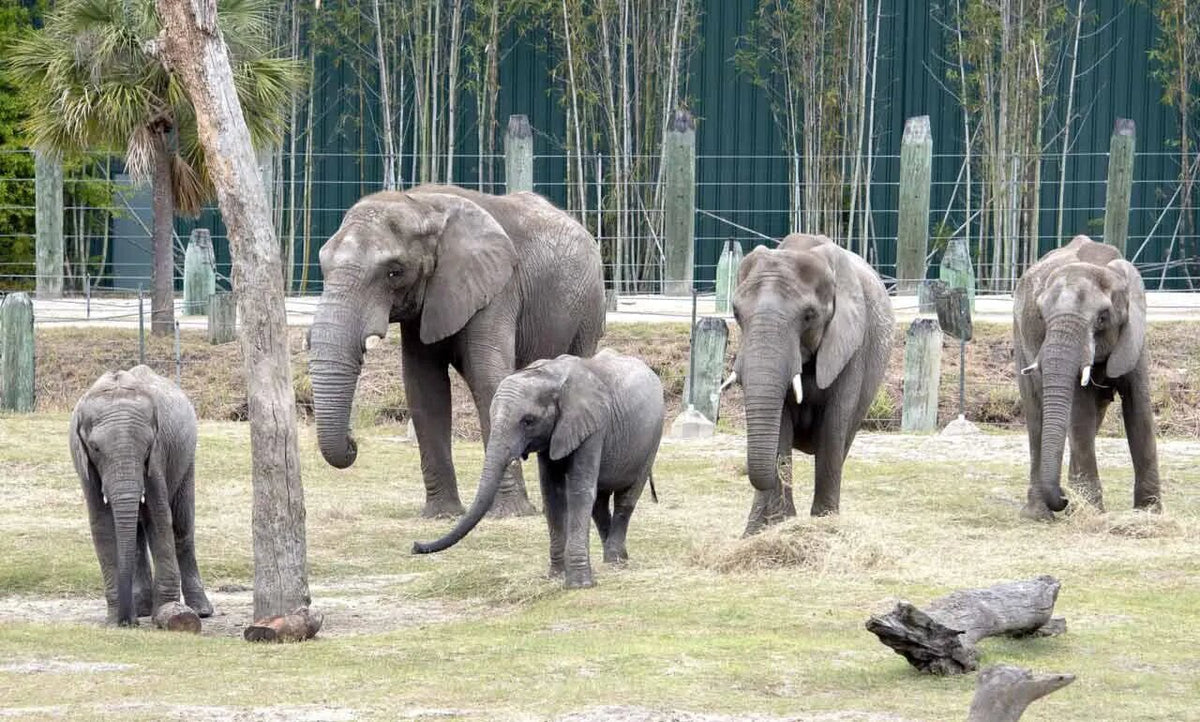 ZooTampa at Lowry Park
