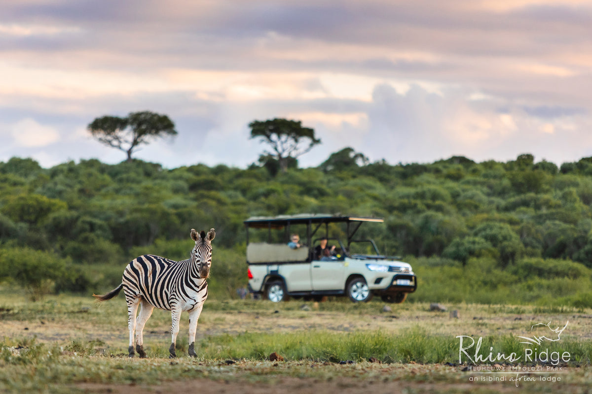 Rhino Ridge Safari Lodge