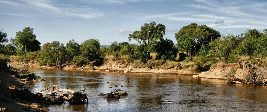 Hippo neighbours