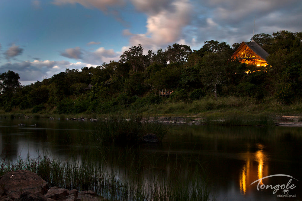 Tongole by night