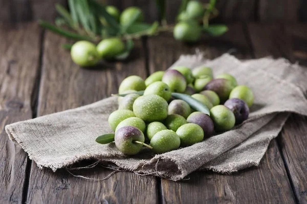 The Ancient Olive Gourmet of Winter Park