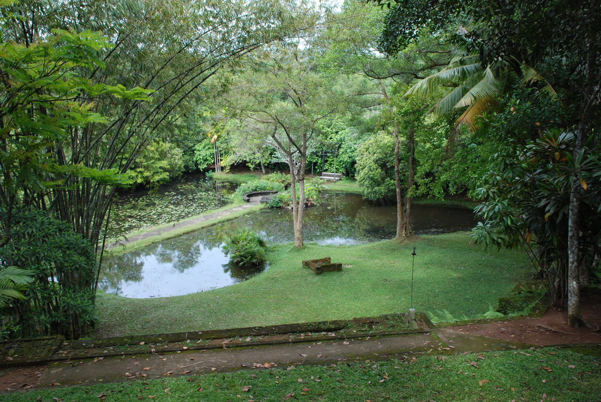 Lunuganga Estate