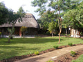 Limbo Lodge Gardens