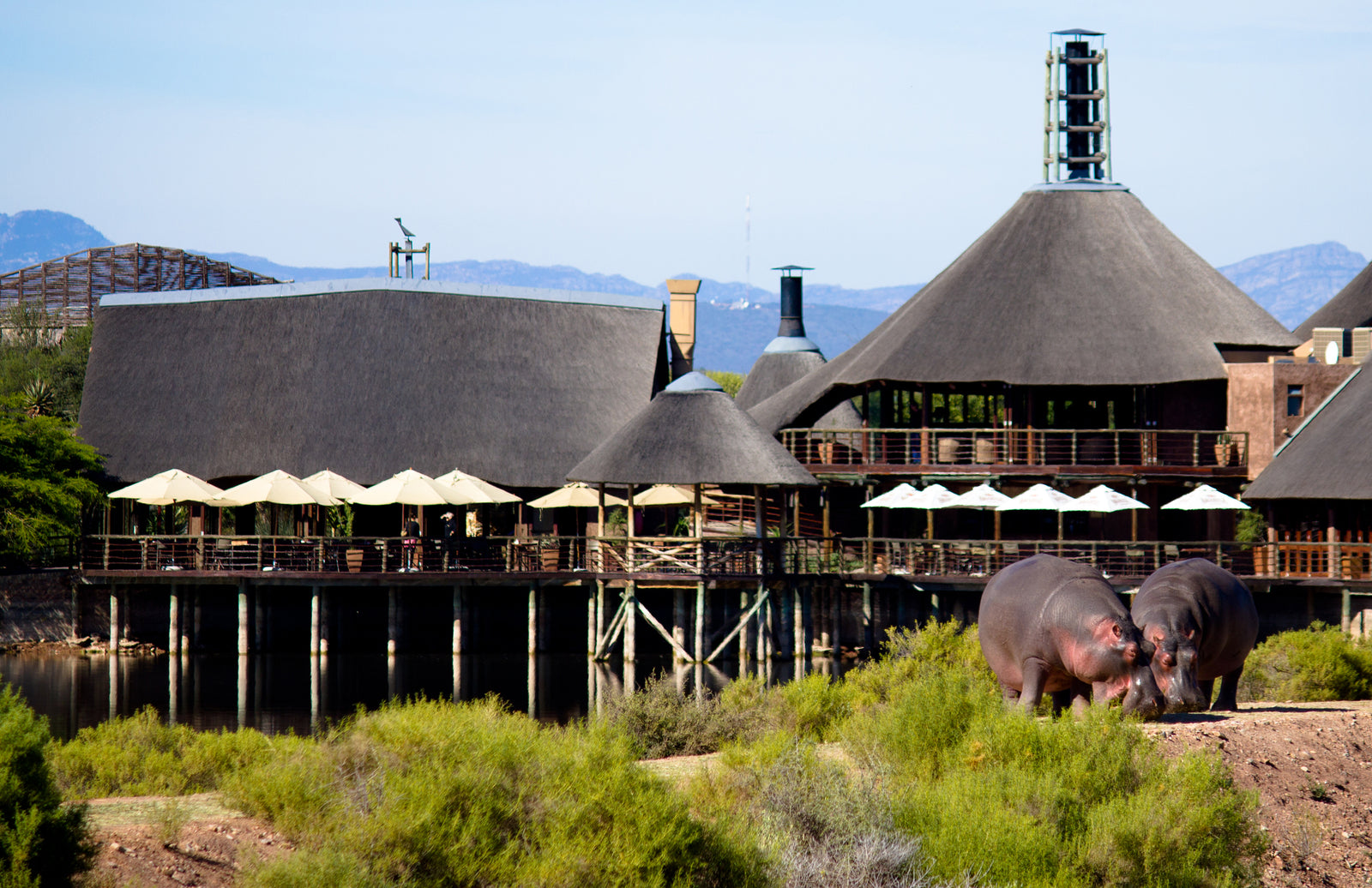 Buffelsdrift Game Reserve