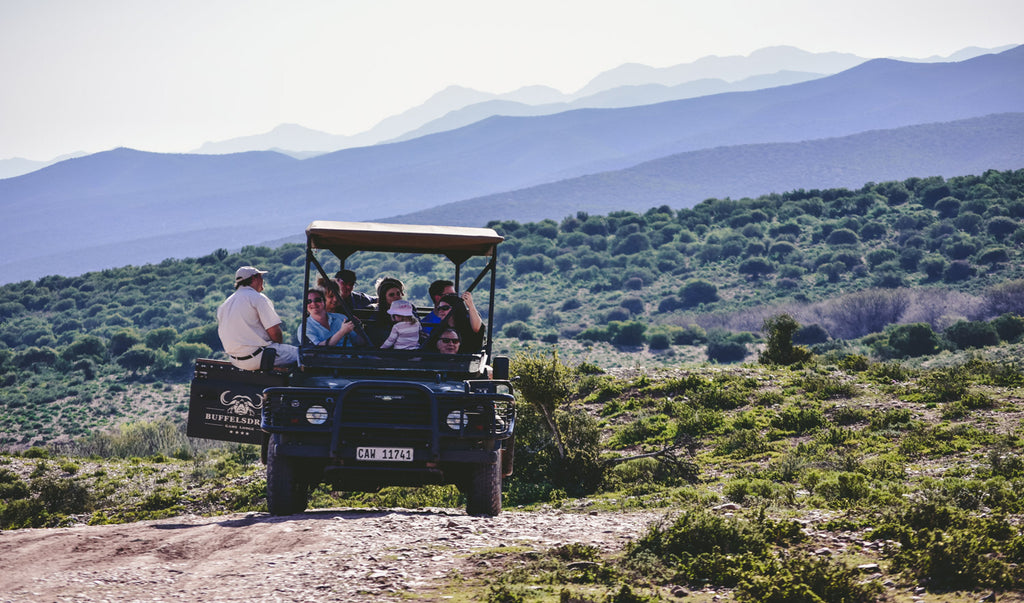 Bush Safaris