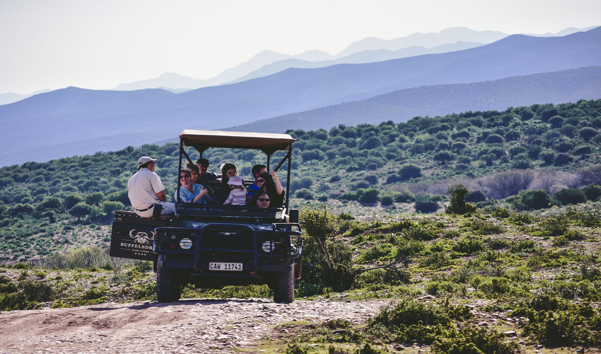 Bush Safaris