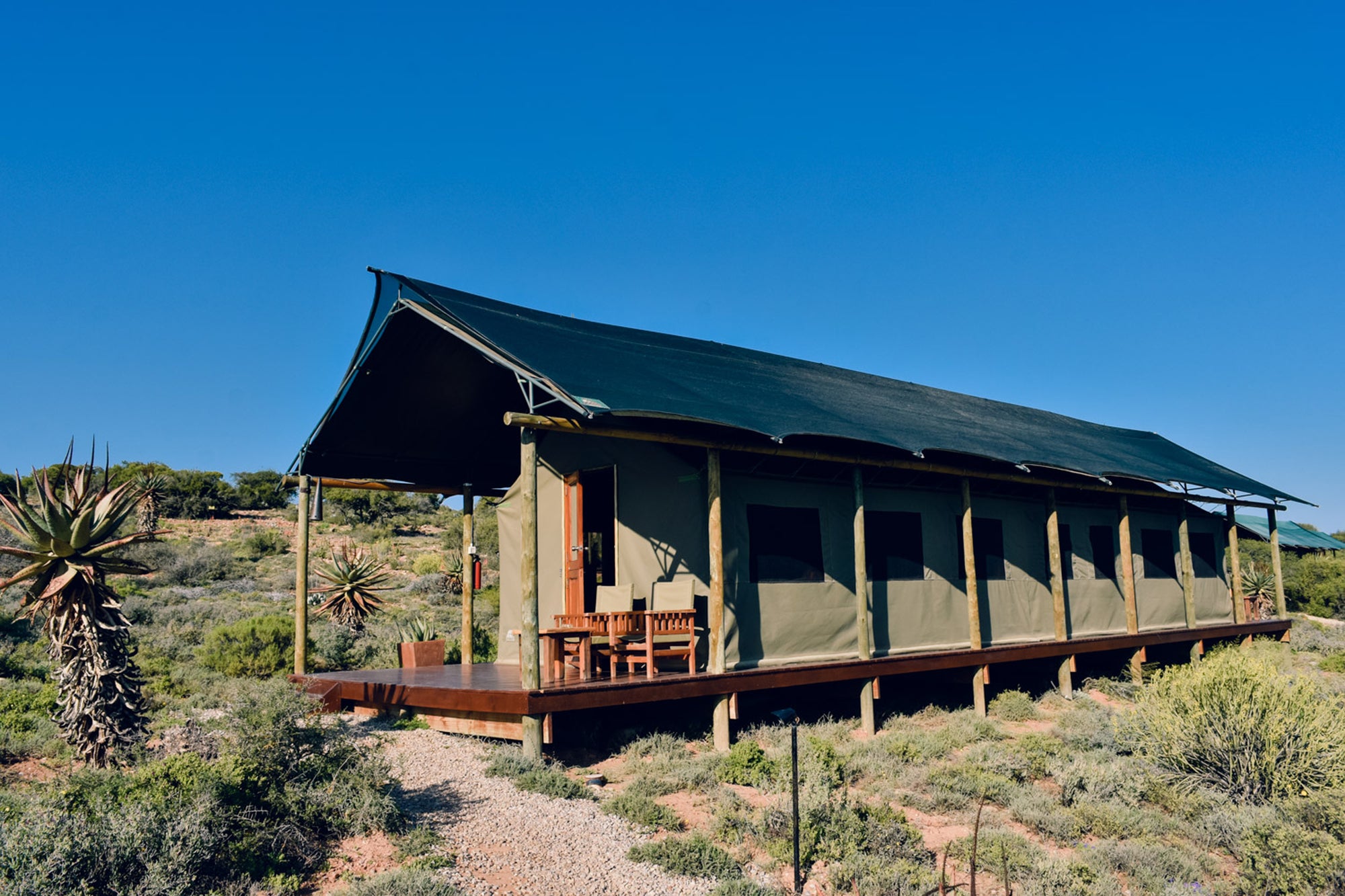 Luxry Horizon view tents