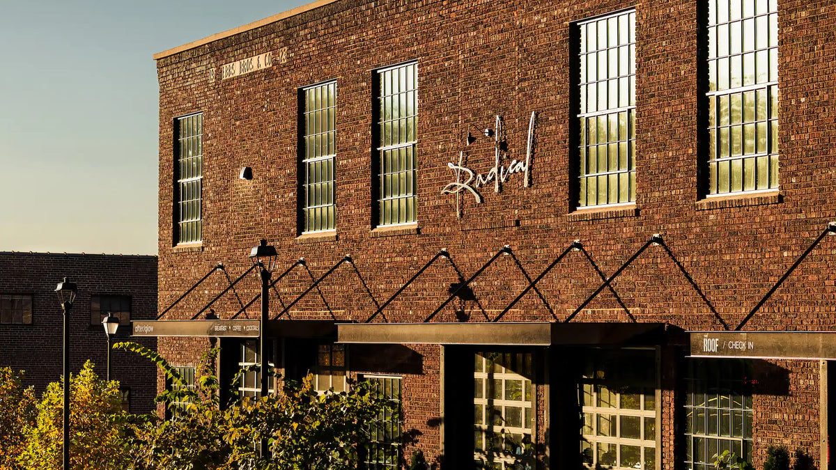 The Radical Asheville, Tapestry Collection by Hilton