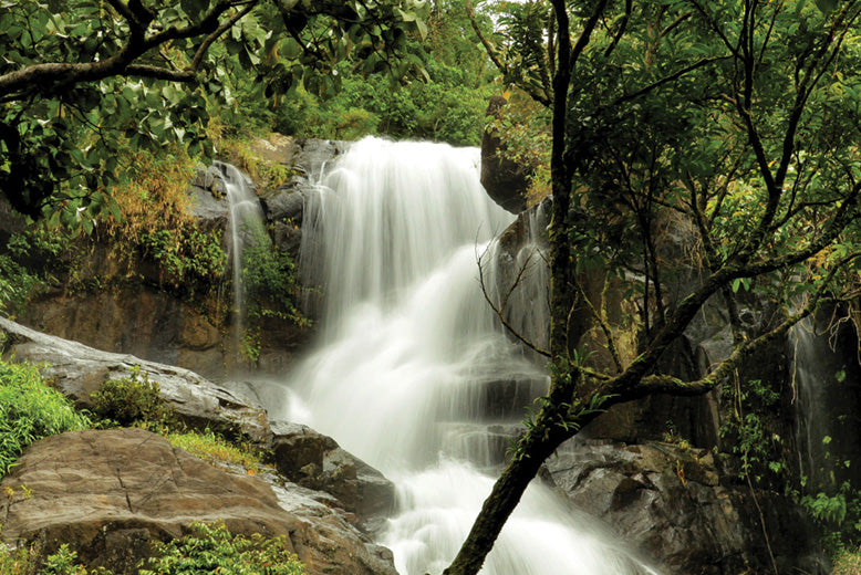 Banasura Hill Resort