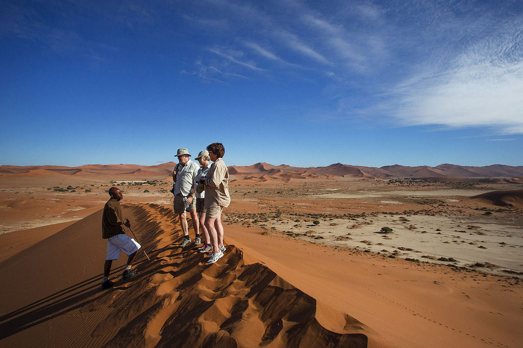 Desert Dune Safari