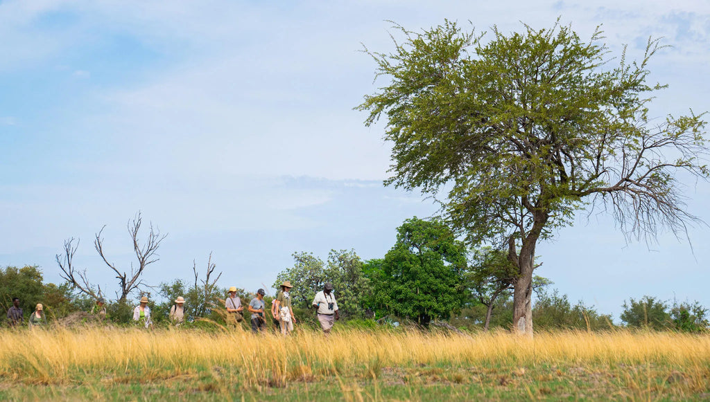 Guided Walks at Nambwa Tented Lodge, Bwabwata National Park, Namibia.