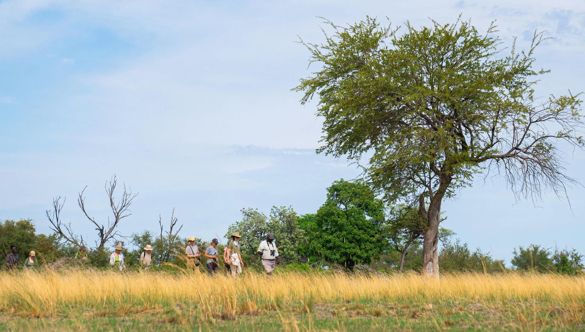 Guided Walks at Nambwa Tented Lodge, Bwabwata National Park, Namibia.