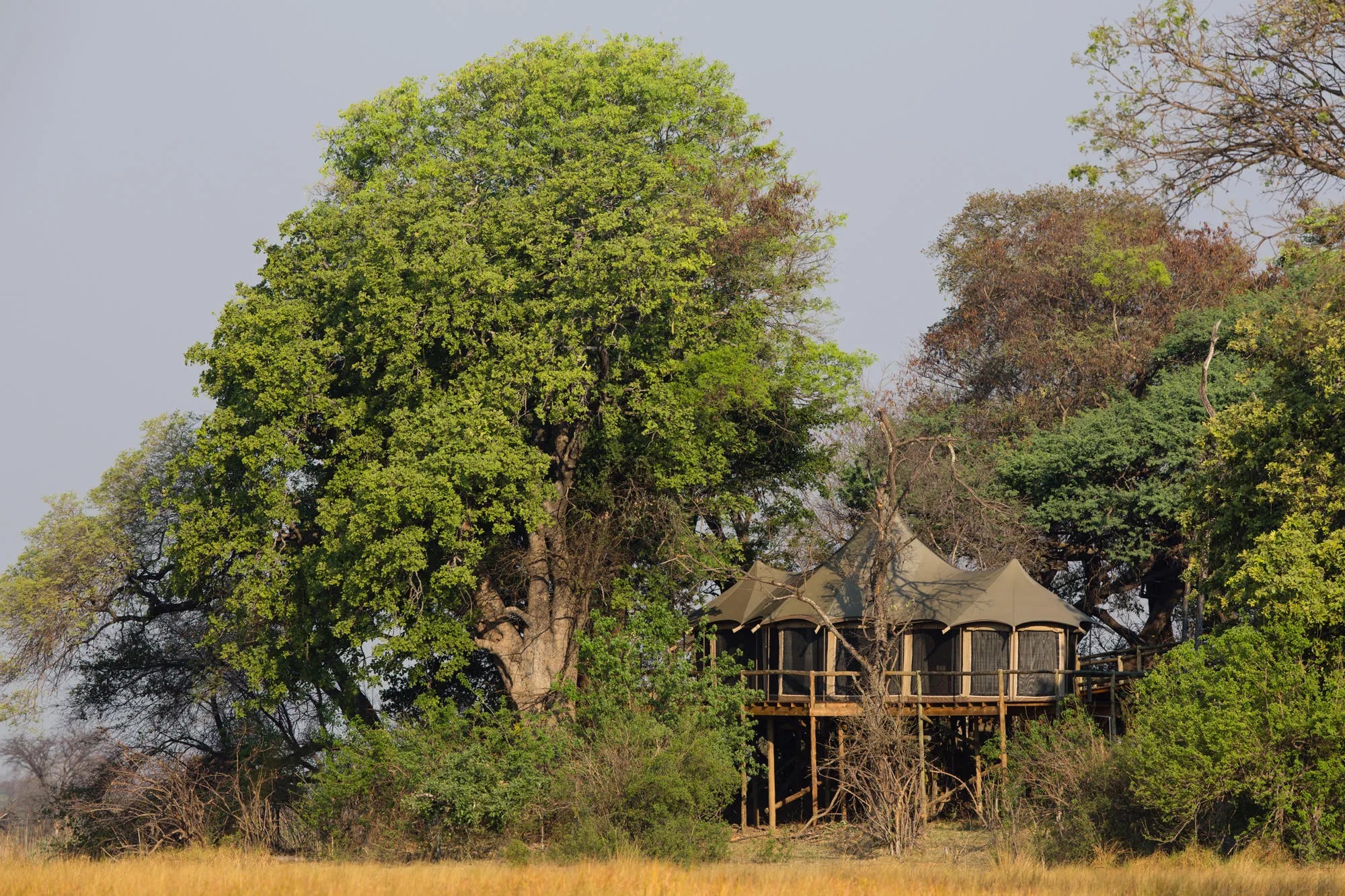 Nambwa Tented Lodge at Nambwa Tented Lodge, Bwabwata National Park, Namibia.