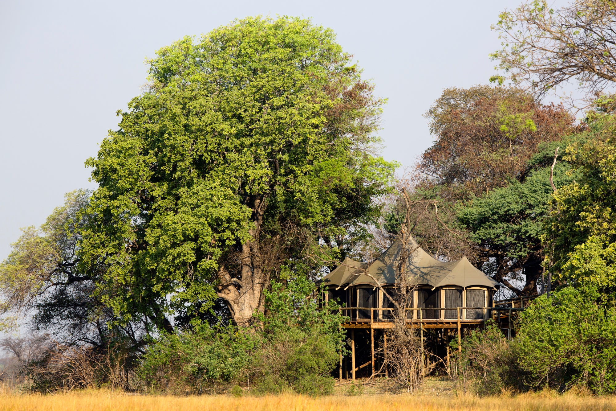 Luxury Tented Suites Double & Twins