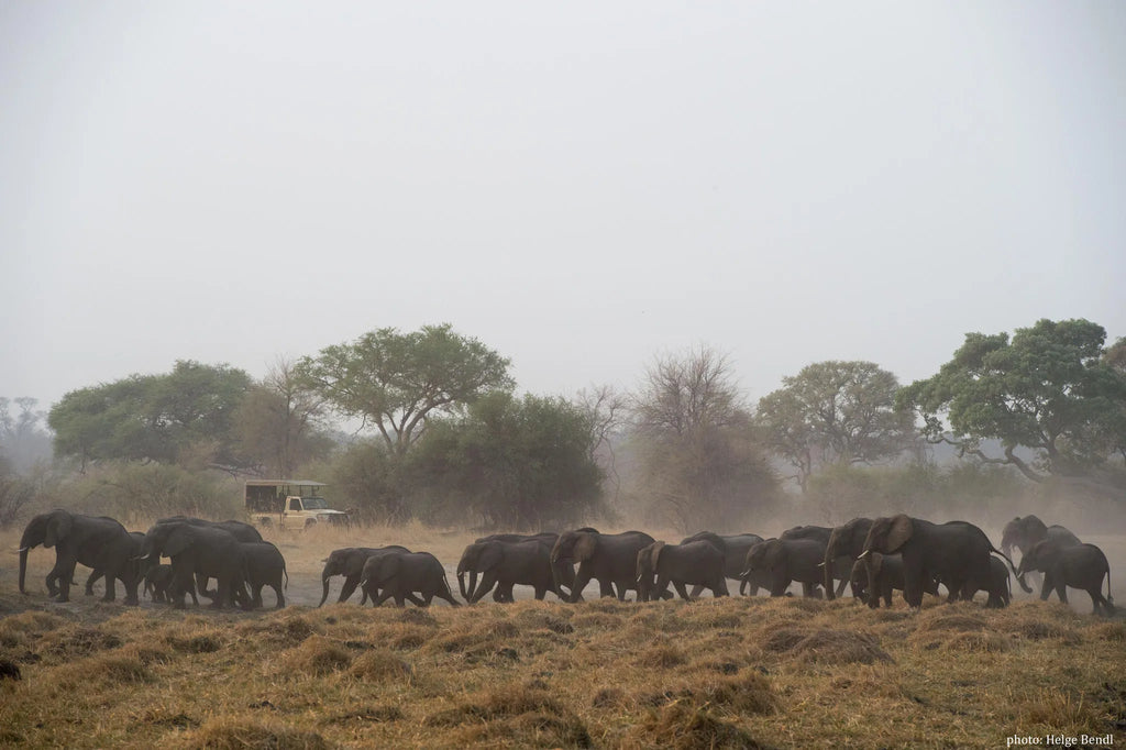 Nambwa Activities at Nambwa Tented Lodge, Bwabwata National Park, Namibia.