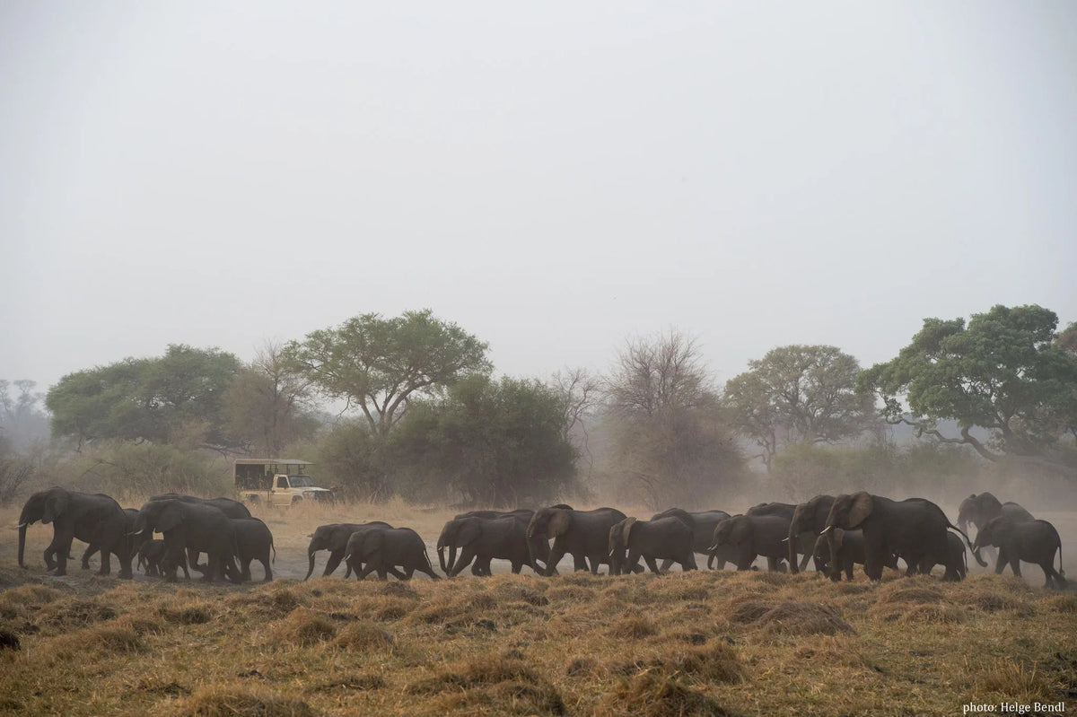 Nambwa Activities at Nambwa Tented Lodge, Bwabwata National Park, Namibia.