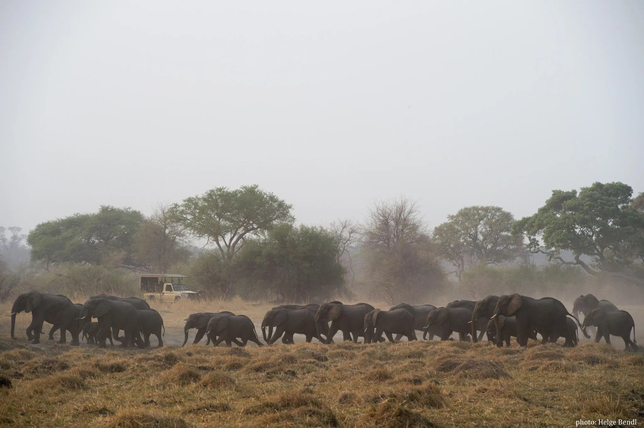 Nambwa Activities at Nambwa Tented Lodge, Bwabwata National Park, Namibia.
