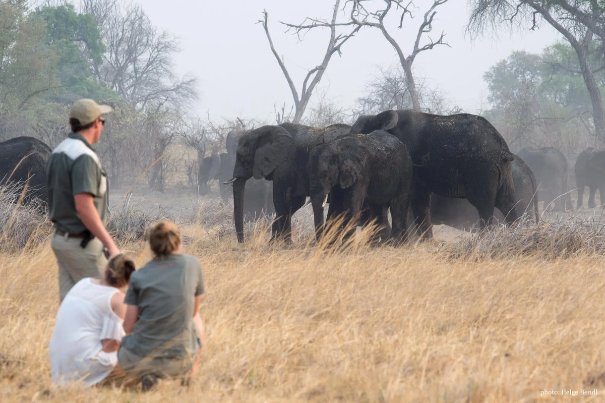 Nambwa Activities at Nambwa Tented Lodge, Bwabwata National Park, Namibia.