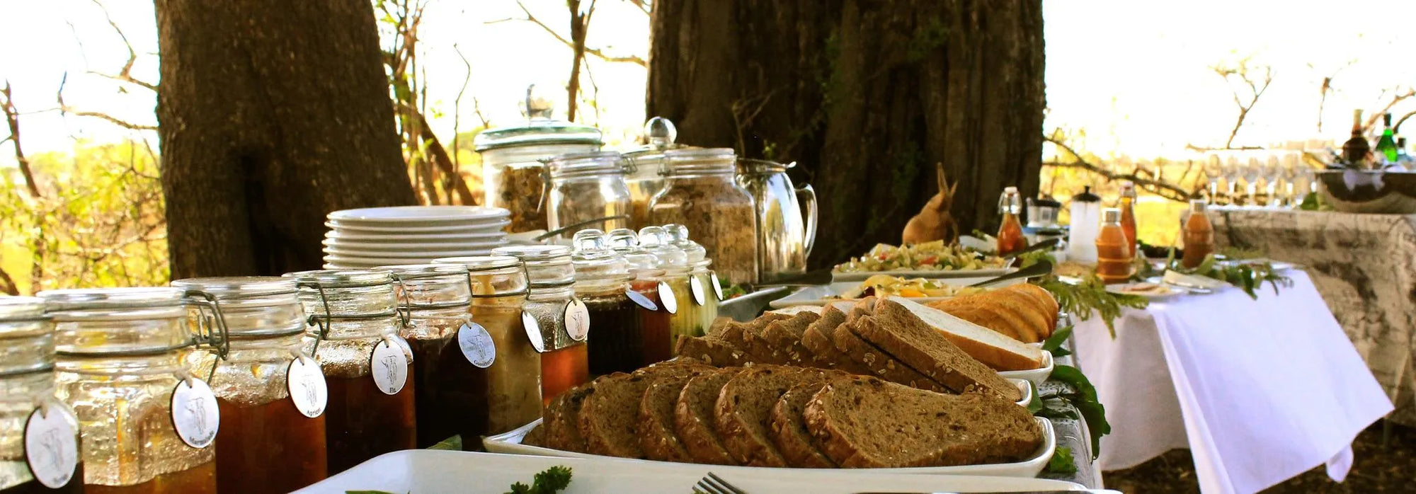 Nambwa Activities at Nambwa Tented Lodge, Bwabwata National Park, Namibia.