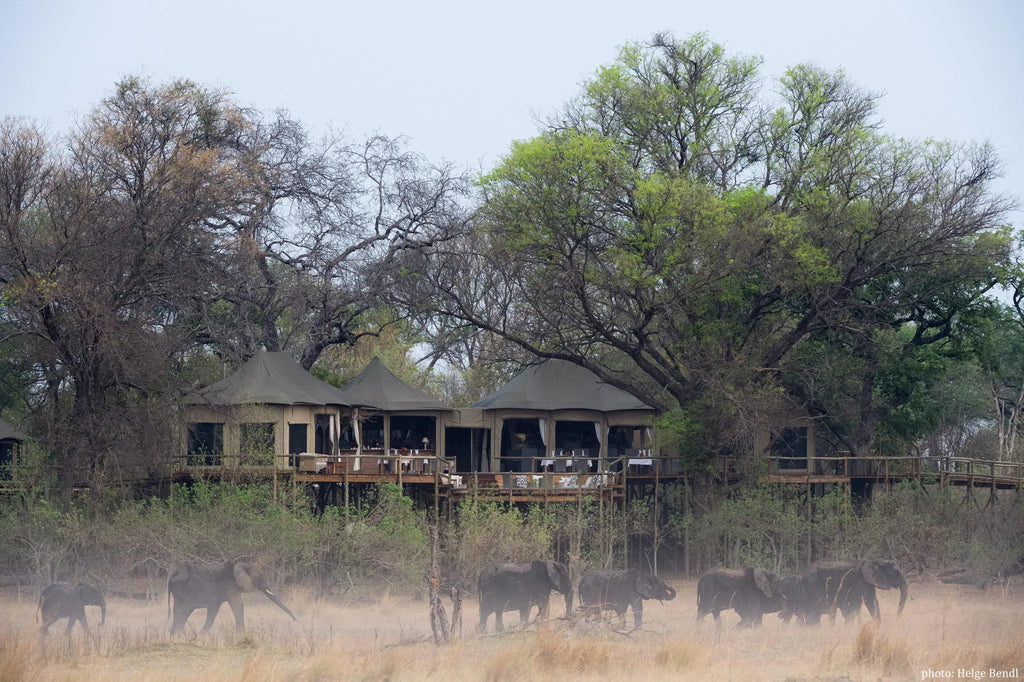 Nambwa Tented Lodge at Nambwa Tented Lodge, Bwabwata National Park, Namibia.