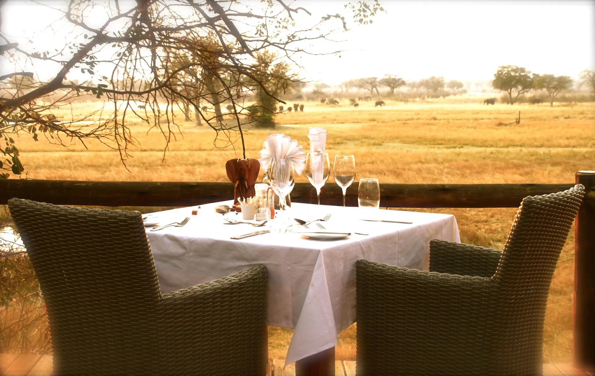 Nambwa Tented Lodge Dining at Nambwa Tented Lodge, Bwabwata National Park, Namibia.