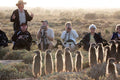 Original meerkat Tours