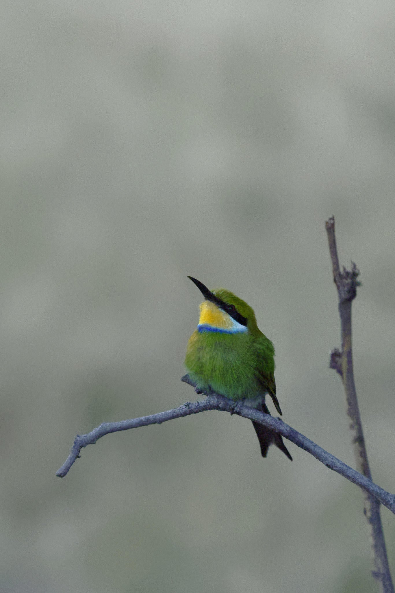 Bird Watching gallery image 2