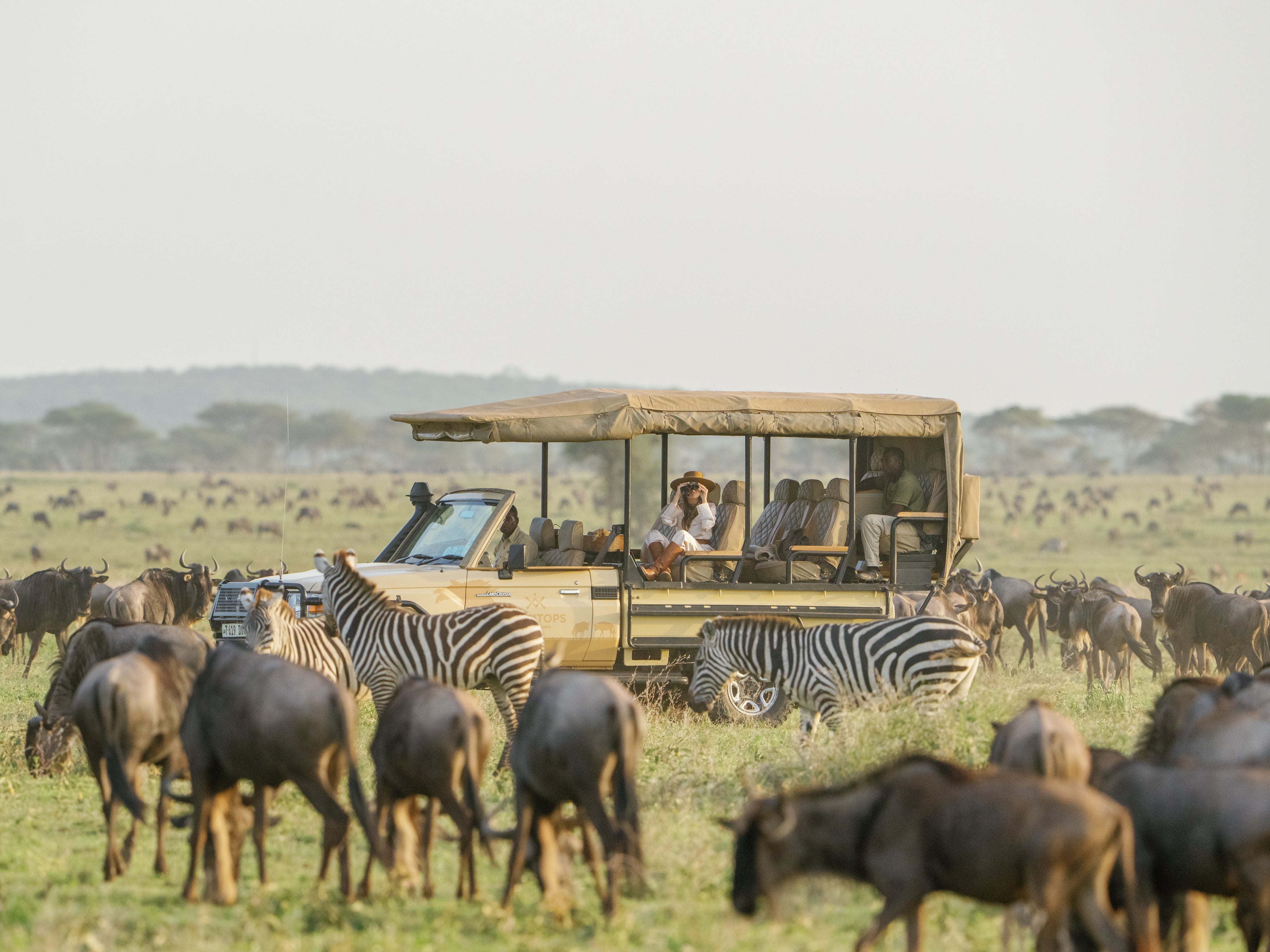 private game drive cars for every booking at Roving Bushtops