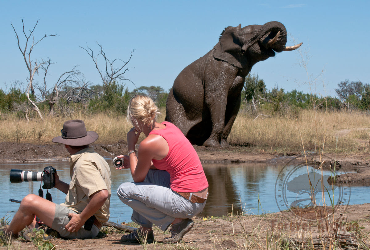 Forever African Safaris - Pride of Hwange