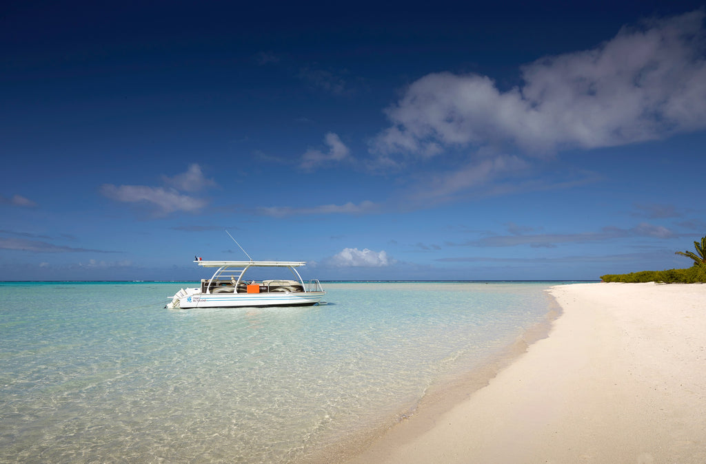 Naturalist-guided boat tours and excursions