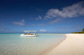 Naturalist-guided boat tours and excursions