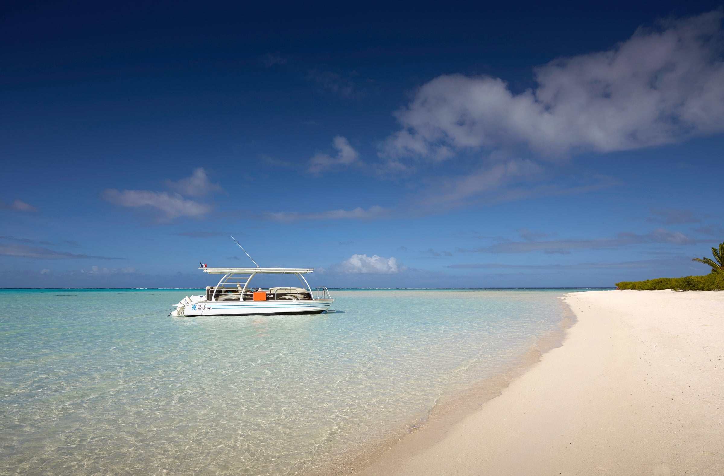 Naturalist-guided boat tours and excursions