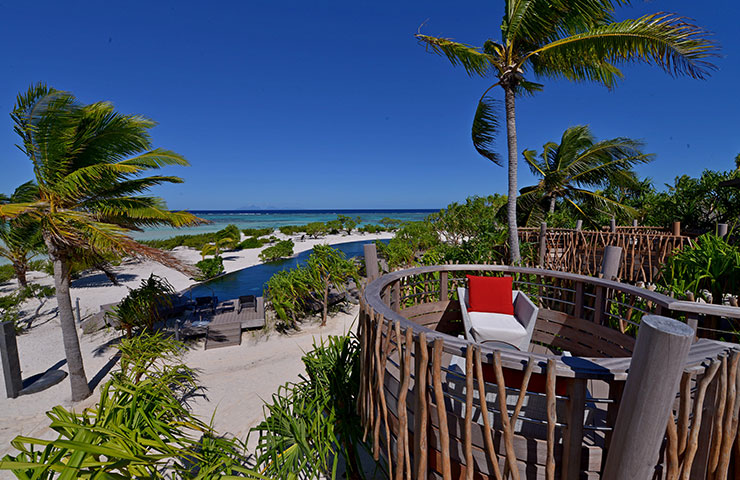 Te Manu Bar